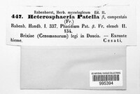 Heterosphaeria patella image